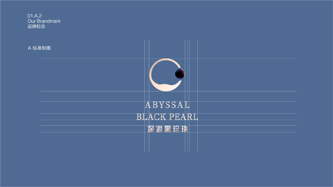 深海黑珍珠品牌设计vi图4