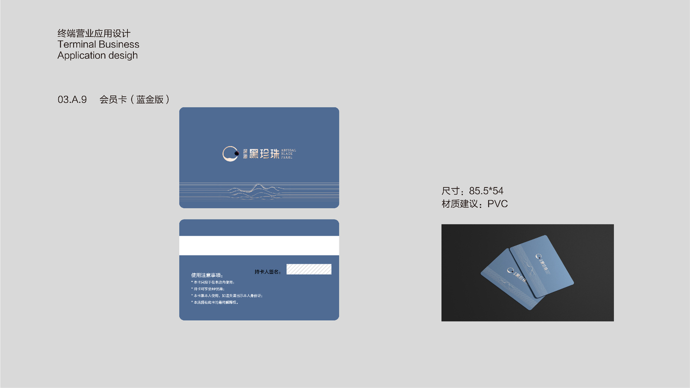 深海黑珍珠品牌设计vi图26