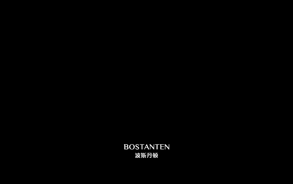 Bostanten 波斯丹顿 logo vi 设计图33