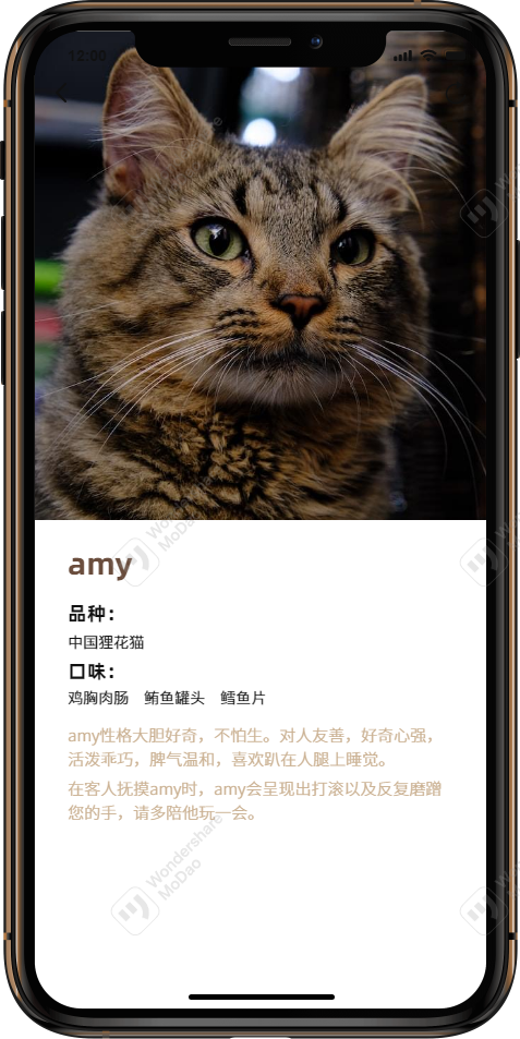 MOMO猫咖app图15