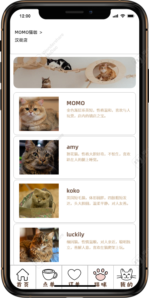 MOMO猫咖app图11