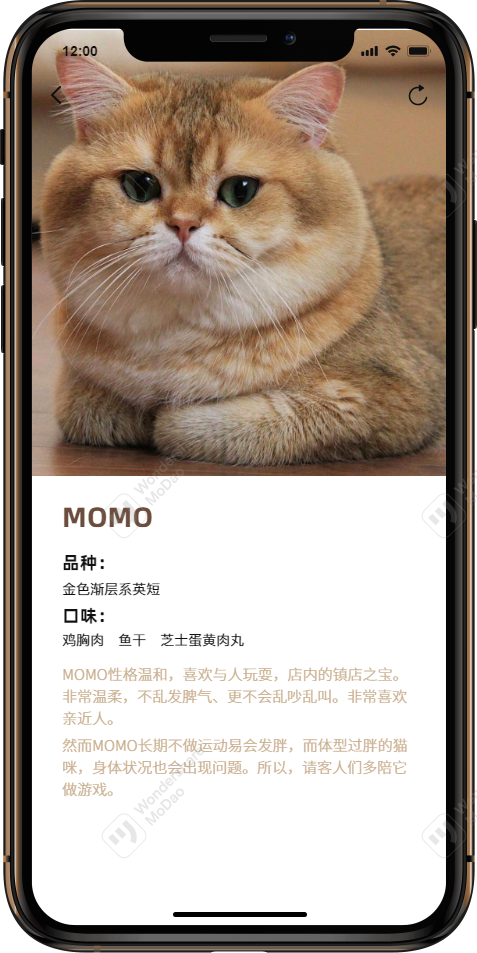 MOMO猫咖app图14