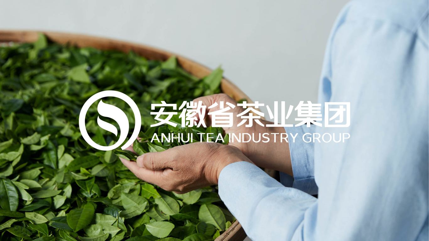 安徽省茶叶集团logo设计图2
