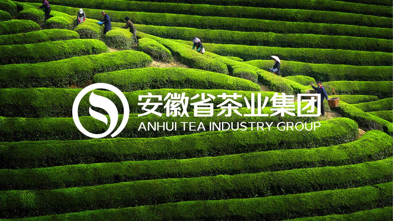 安徽省茶叶集团logo设计图3