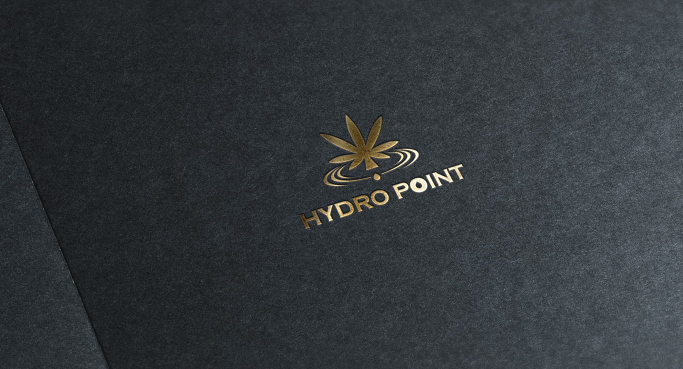 Hydro Point图8