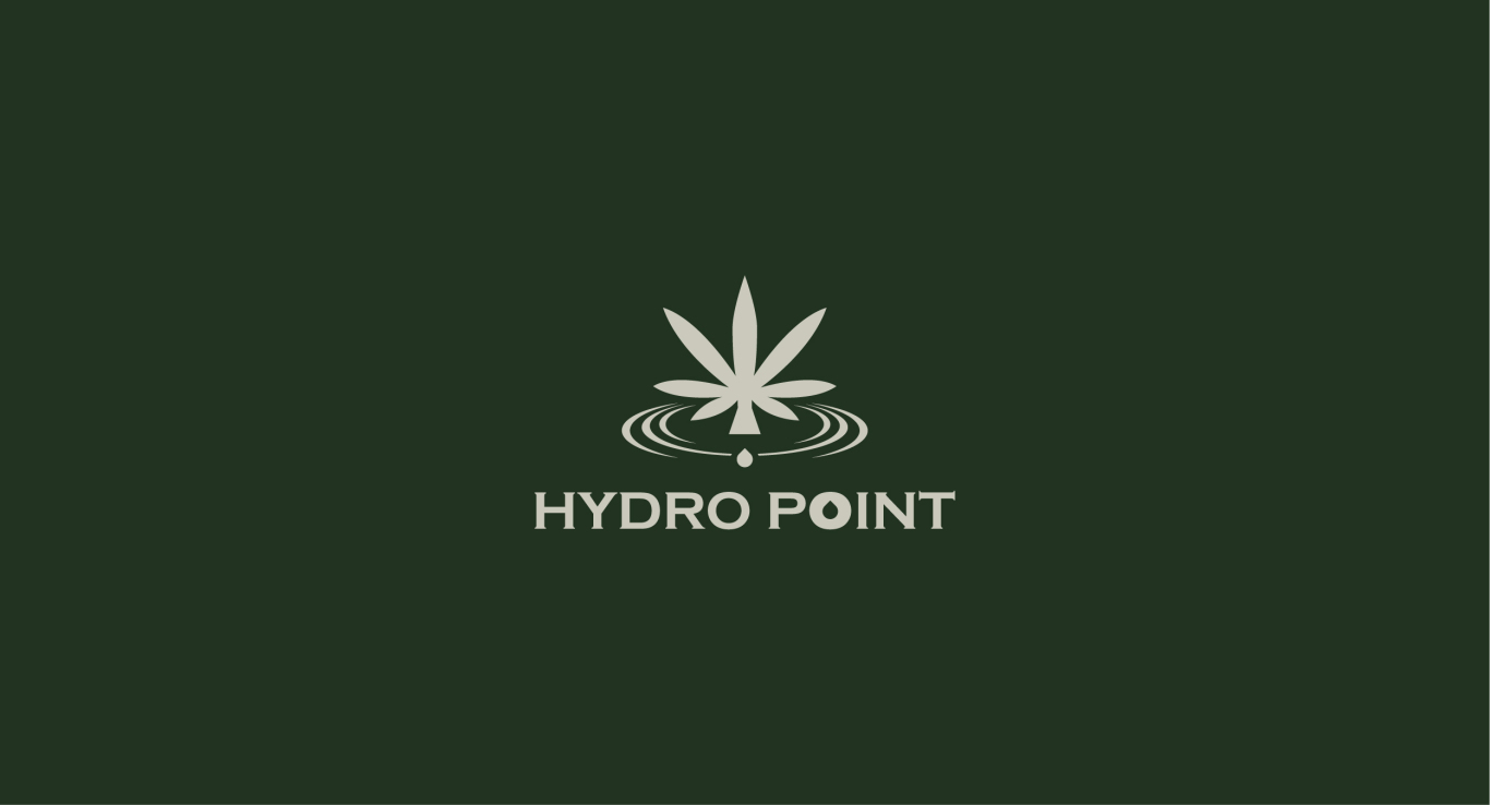 Hydro Point图1
