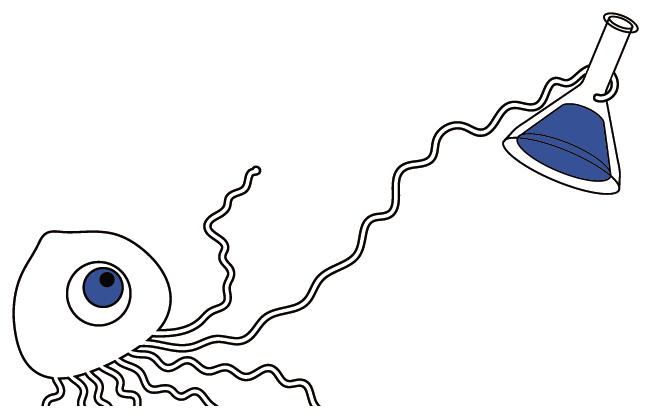 水母无限图28