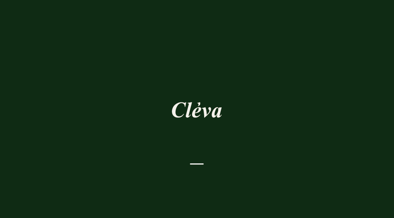 cleva logo及面膜包装设计图0