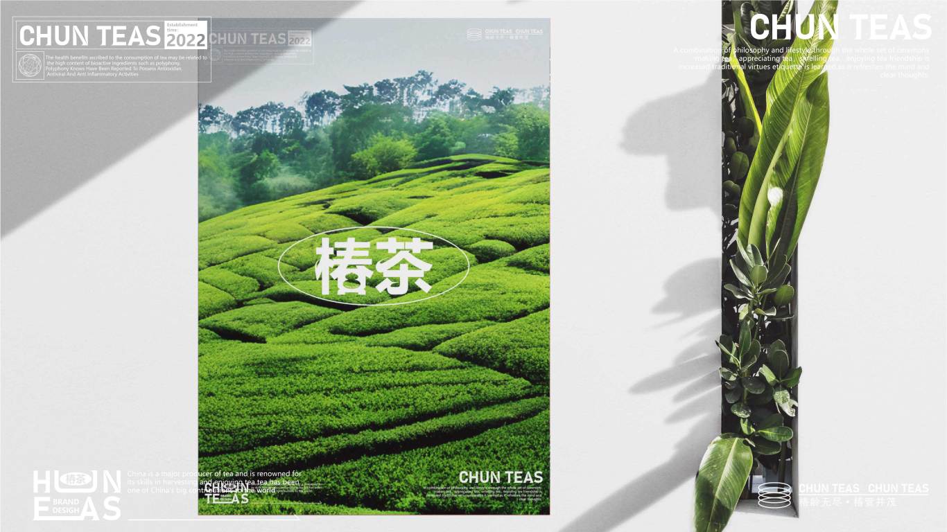 椿茶-品牌设计图20