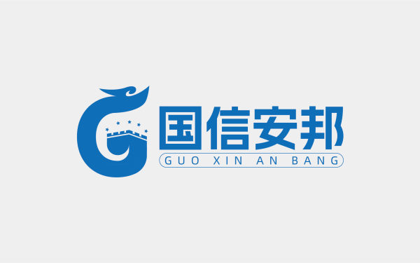 2.國信安邦logo
