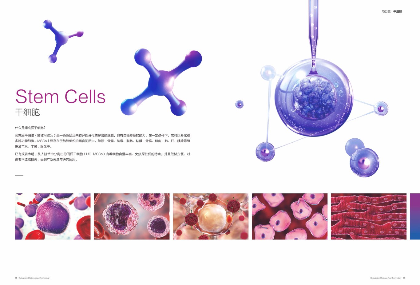【一氧自在】生命科技细胞品牌项目手册设计图5