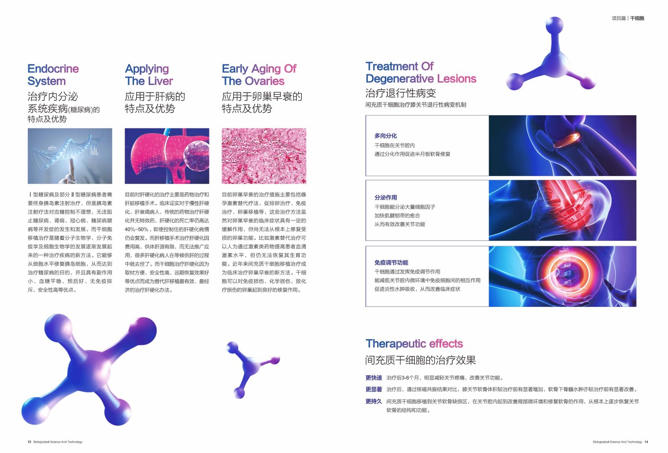【一氧自在】生命科技細胞品牌項目手冊設計圖7