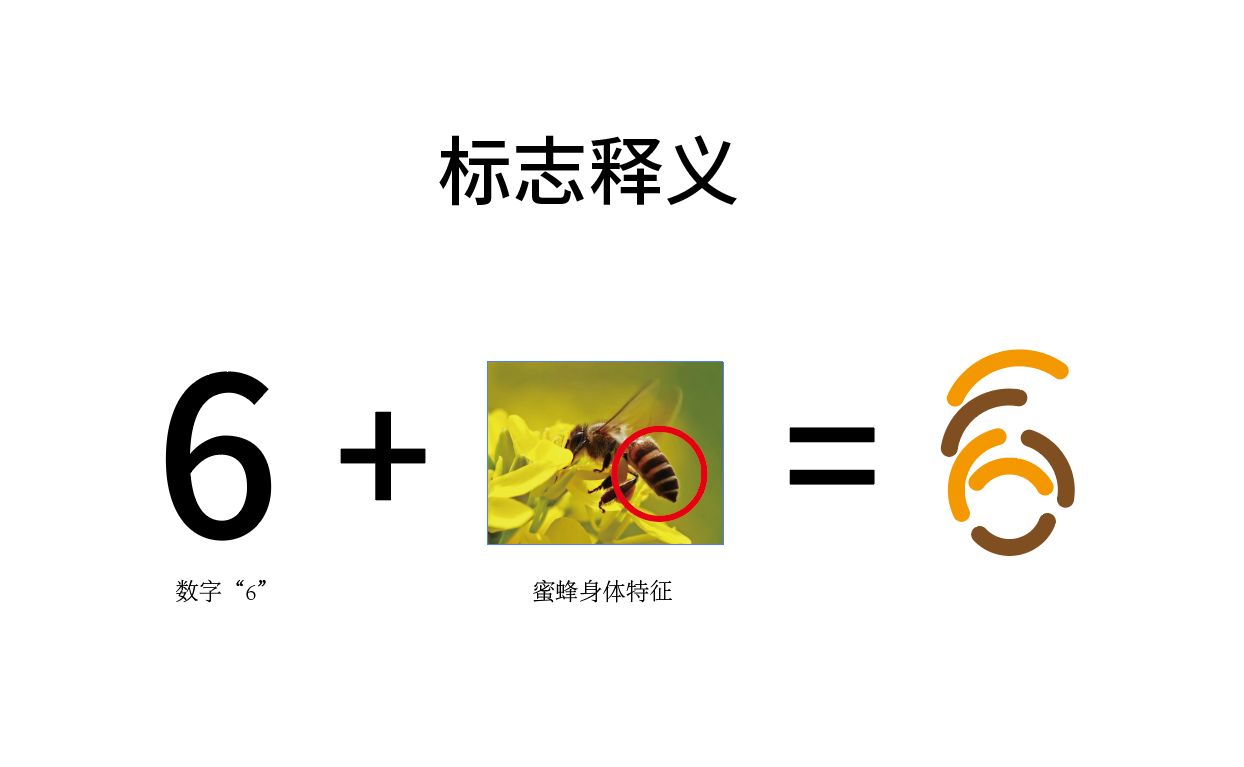 阿6蜂蜜品牌Logo设计图7