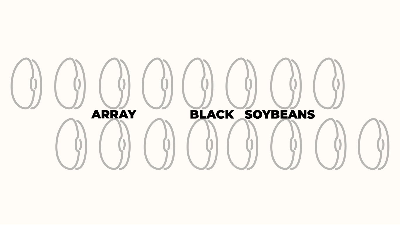 PURE BLACK纯黑黑豆品牌设计图9