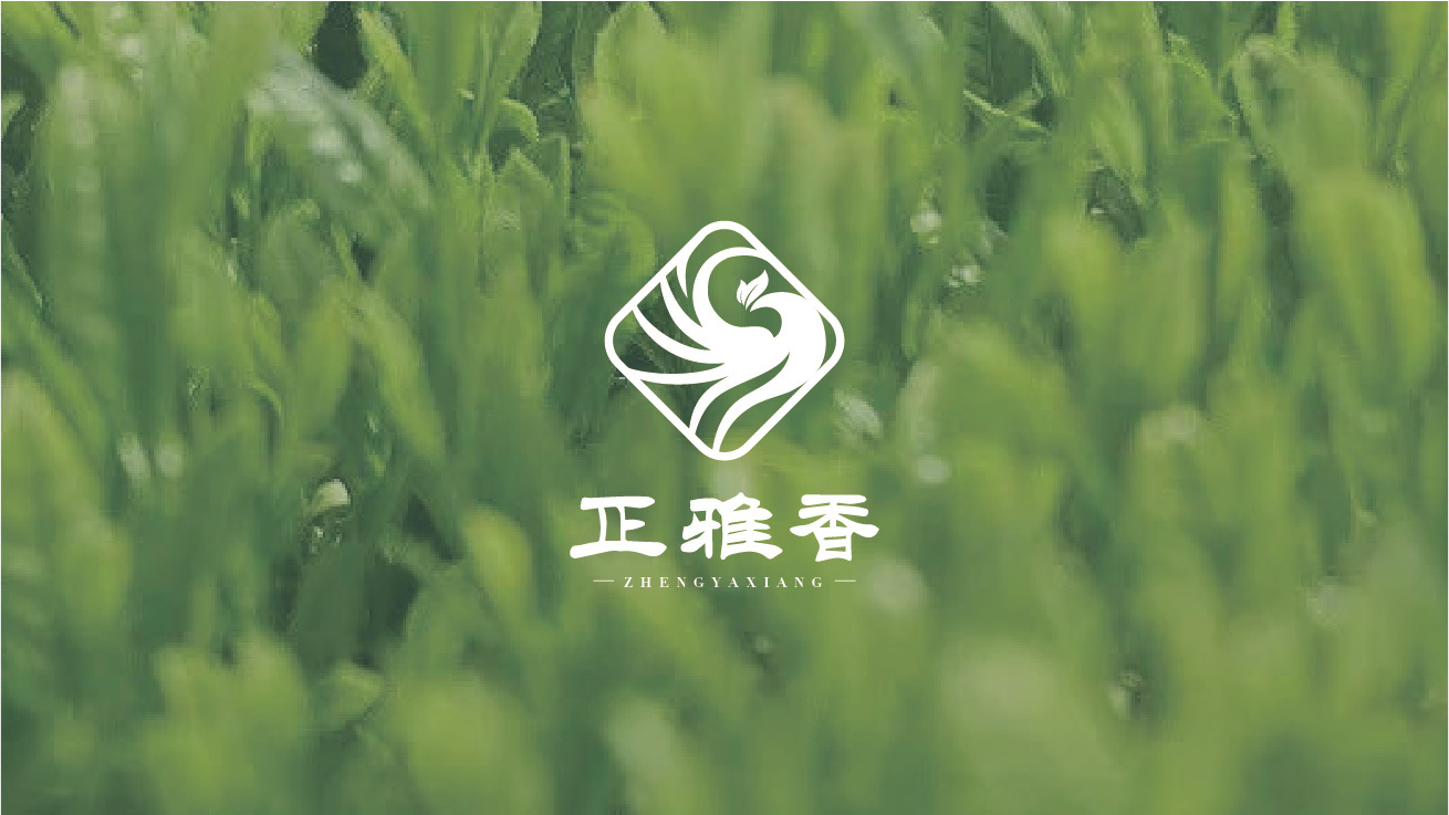 香雅正茶叶logo设计图1