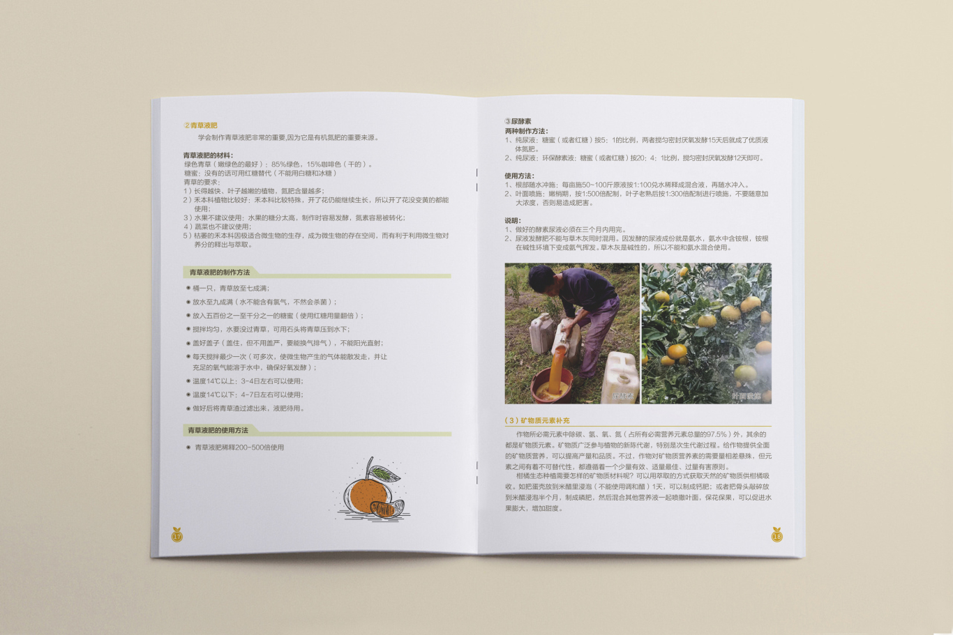 桂北地区柑橘类果树生态种植画册设计图10