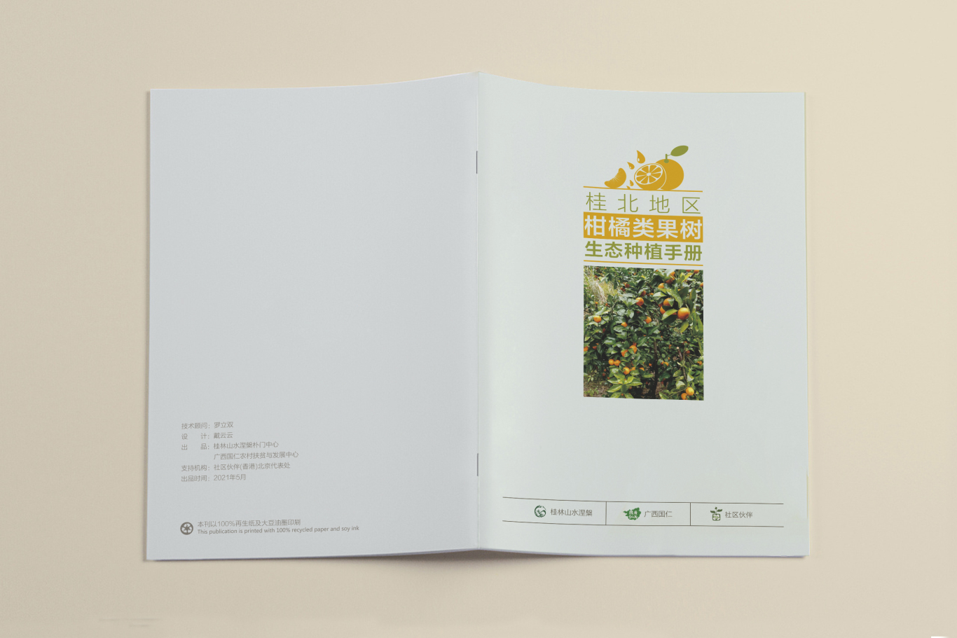 桂北地区柑橘类果树生态种植画册设计图0