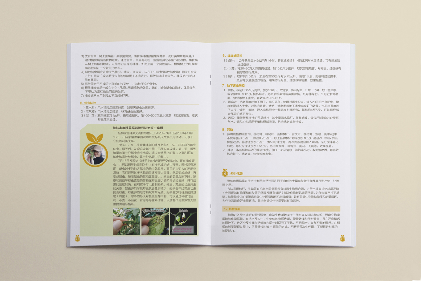 桂北地区柑橘类果树生态种植画册设计图15