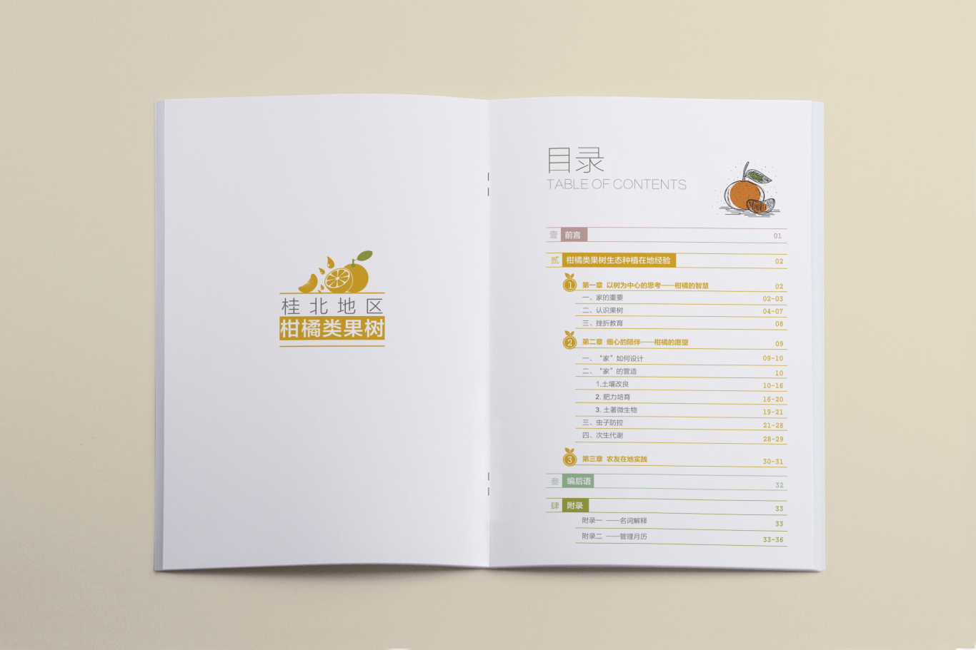 桂北地区柑橘类果树生态种植画册设计图1