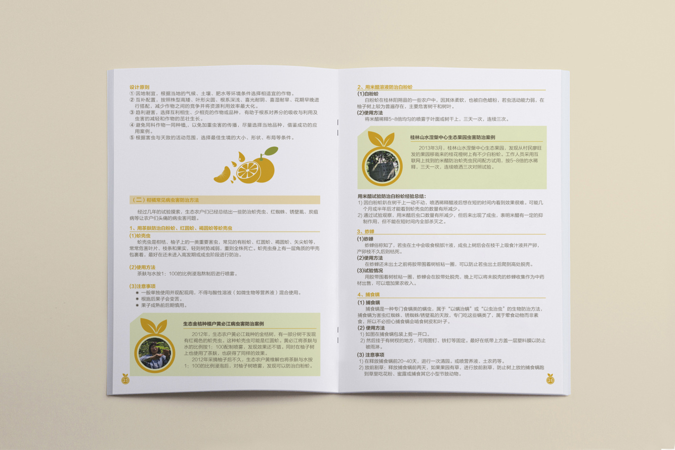 桂北地区柑橘类果树生态种植画册设计图14