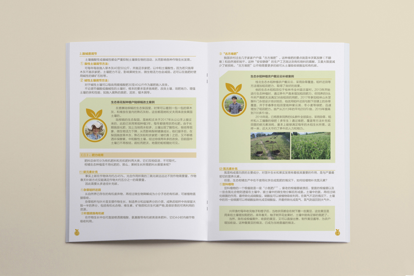 桂北地区柑橘类果树生态种植画册设计图9