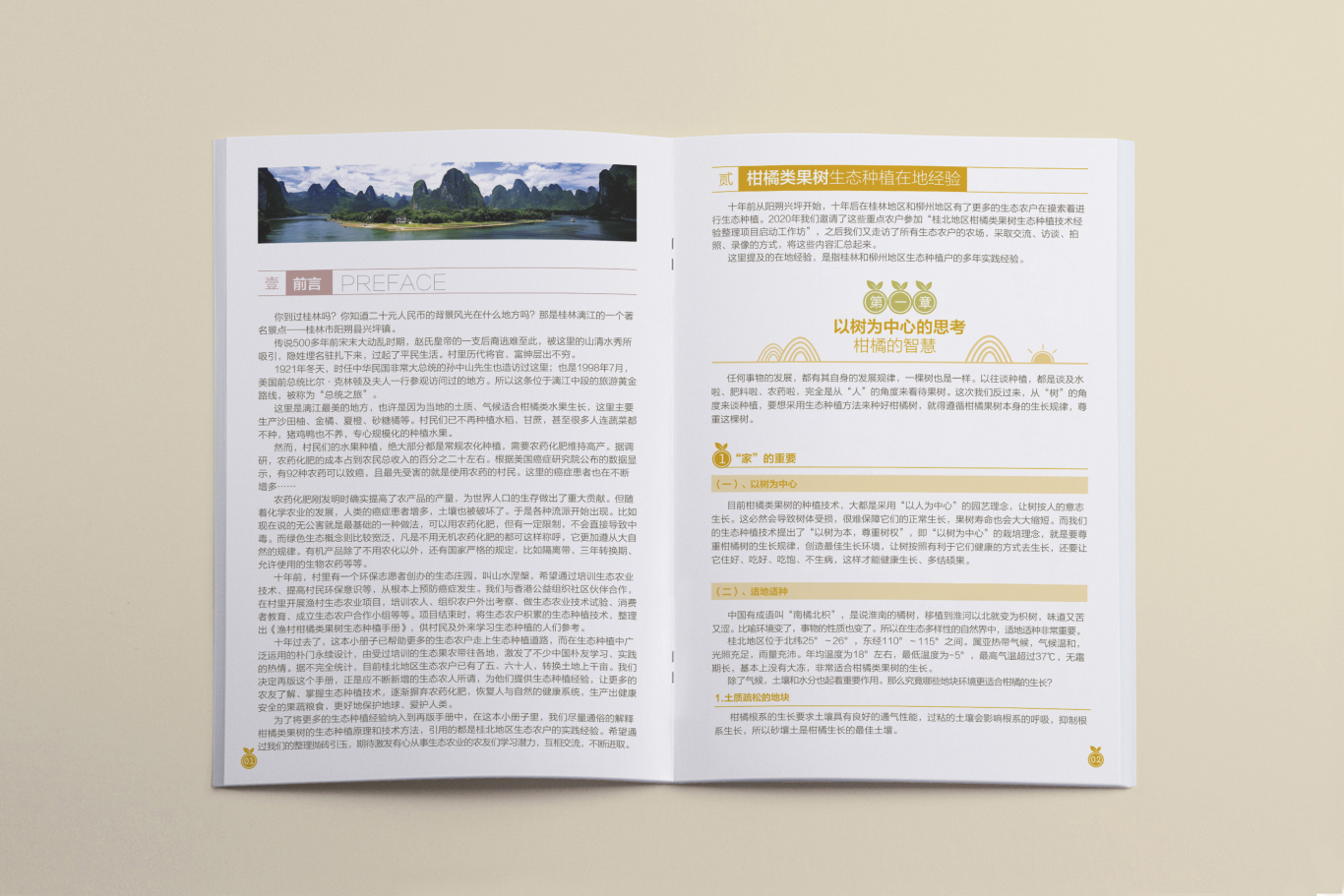 桂北地区柑橘类果树生态种植画册设计图2
