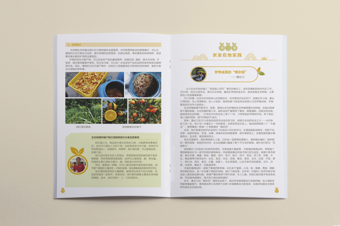 桂北地区柑橘类果树生态种植画册设计图16