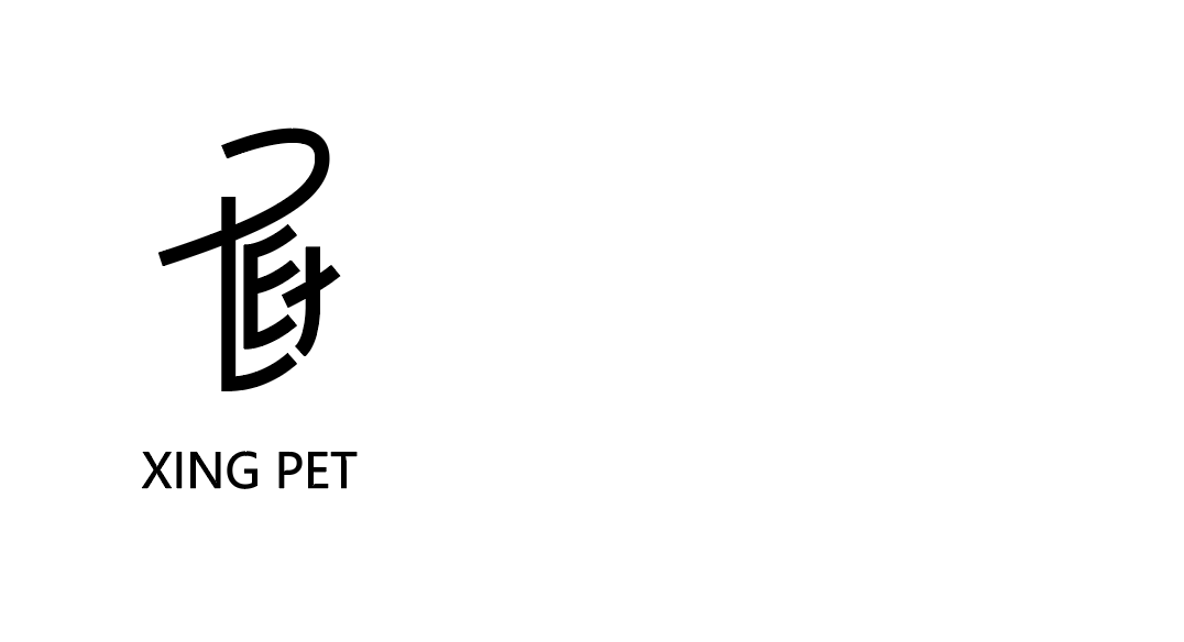 XINGPRT 宠物珠宝logo设计图3