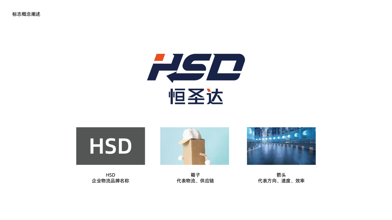 HSD恒圣达物流公司logo图3