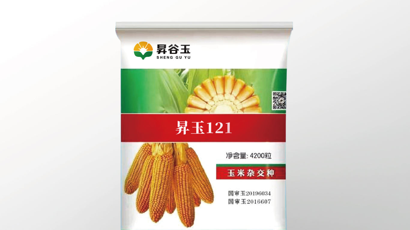 玉米种子logo图11