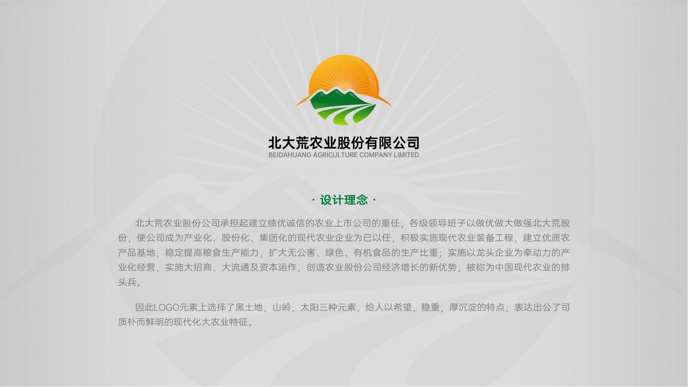 北大荒股份有限公司logo设计方案图10