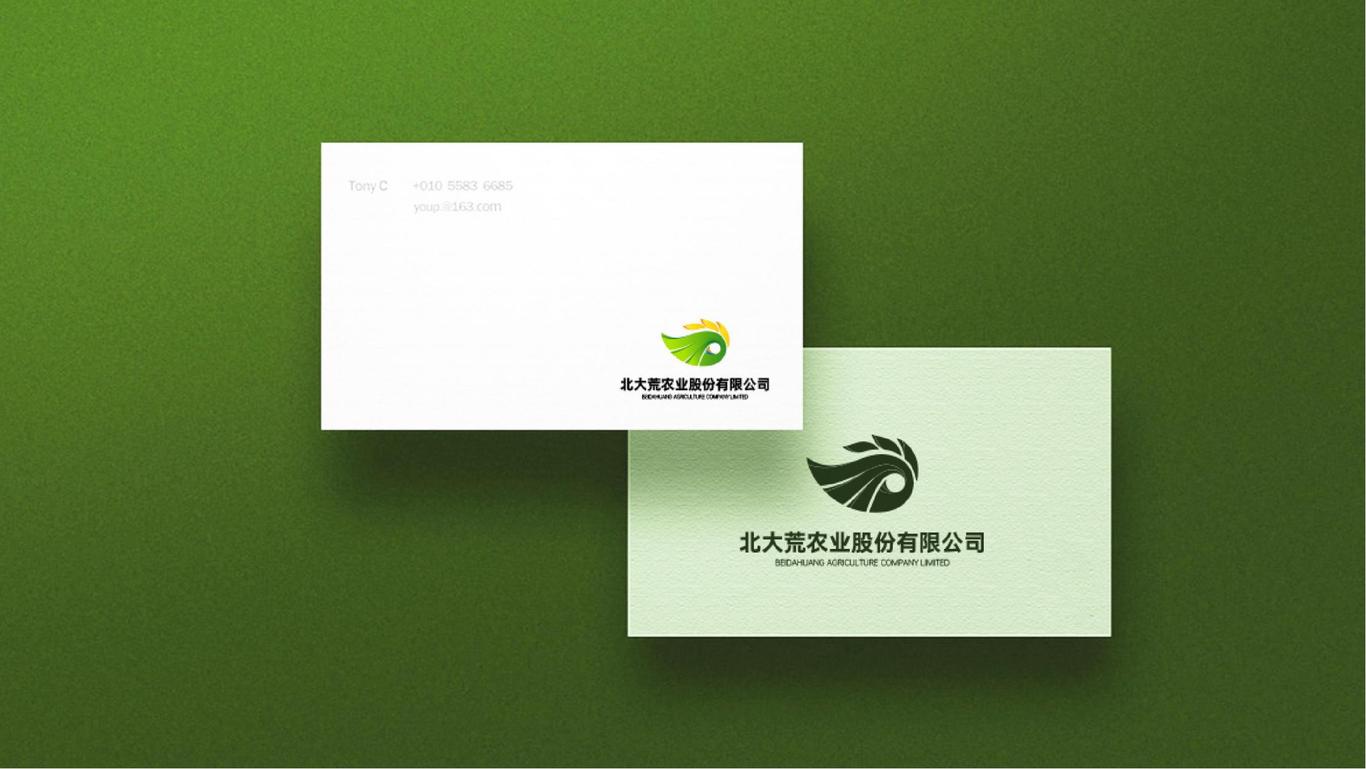 北大荒股份有限公司logo设计方案图20