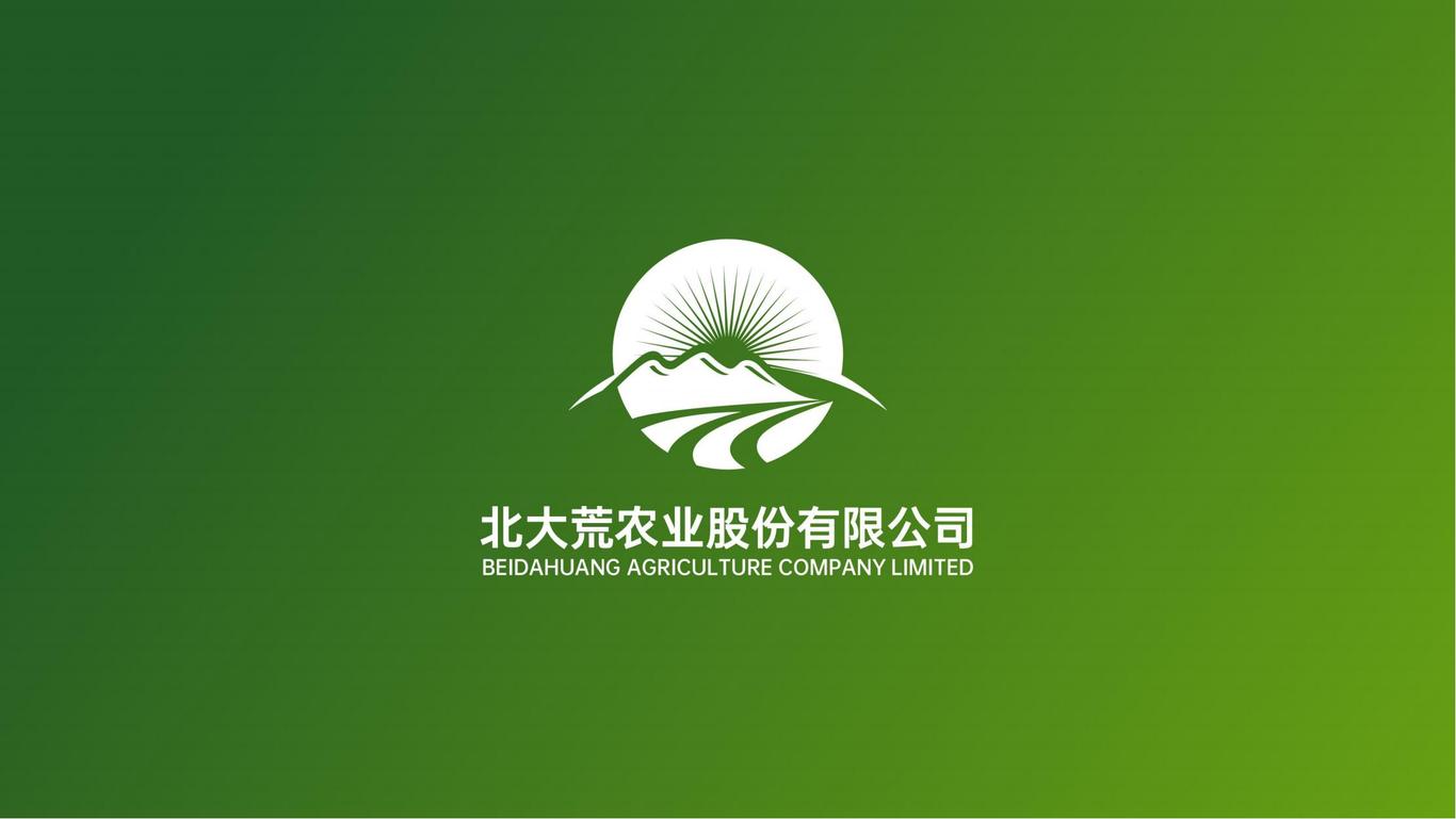 北大荒股份有限公司logo设计方案图6