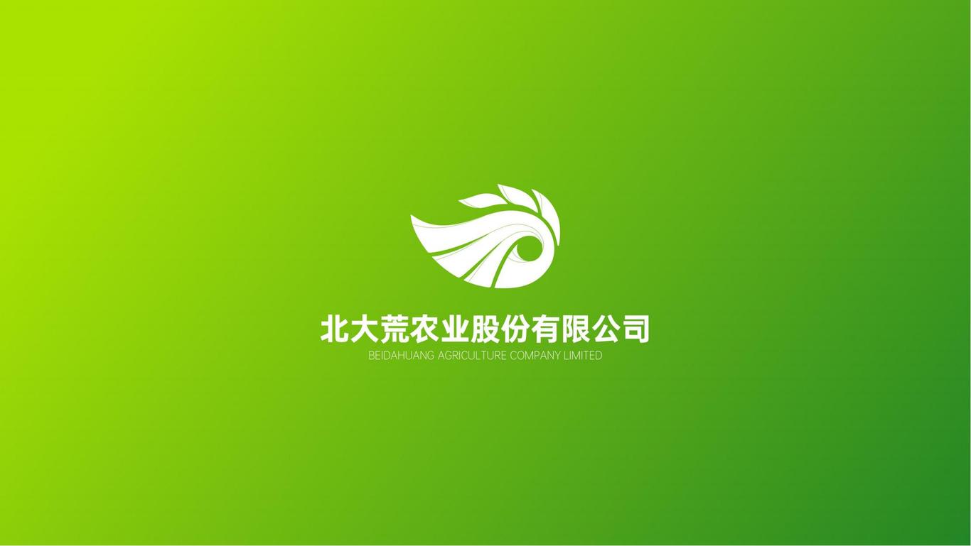 北大荒股份有限公司logo设计方案图17