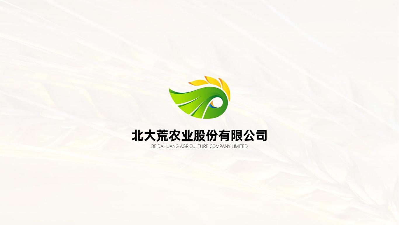 北大荒股份有限公司logo设计方案图12