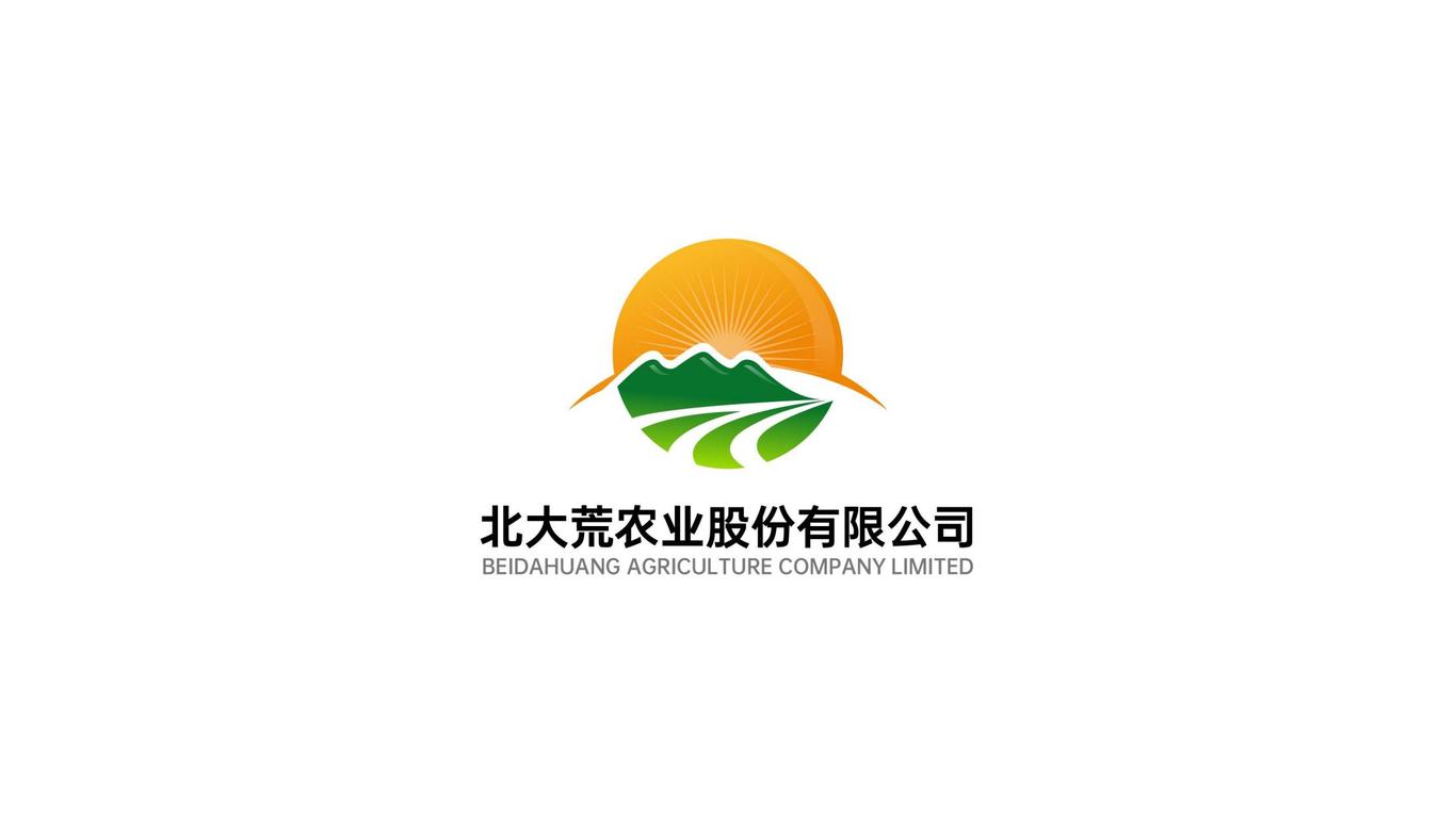 北大荒股份有限公司logo设计方案图1