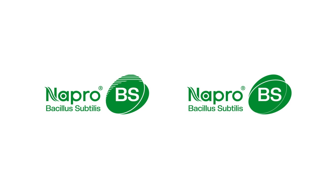 BS生物用益生菌类logo设计中标图6