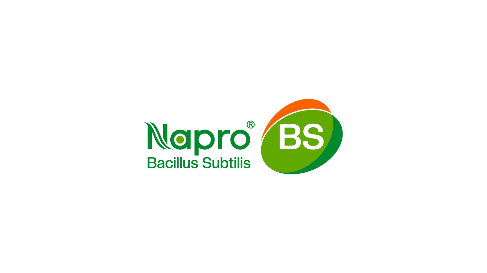 BS生物用益生菌類logo設計