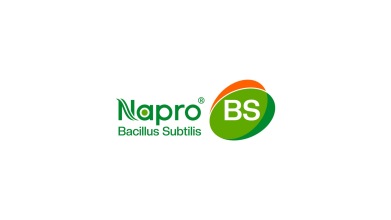 BS生物用益生菌类logo设计