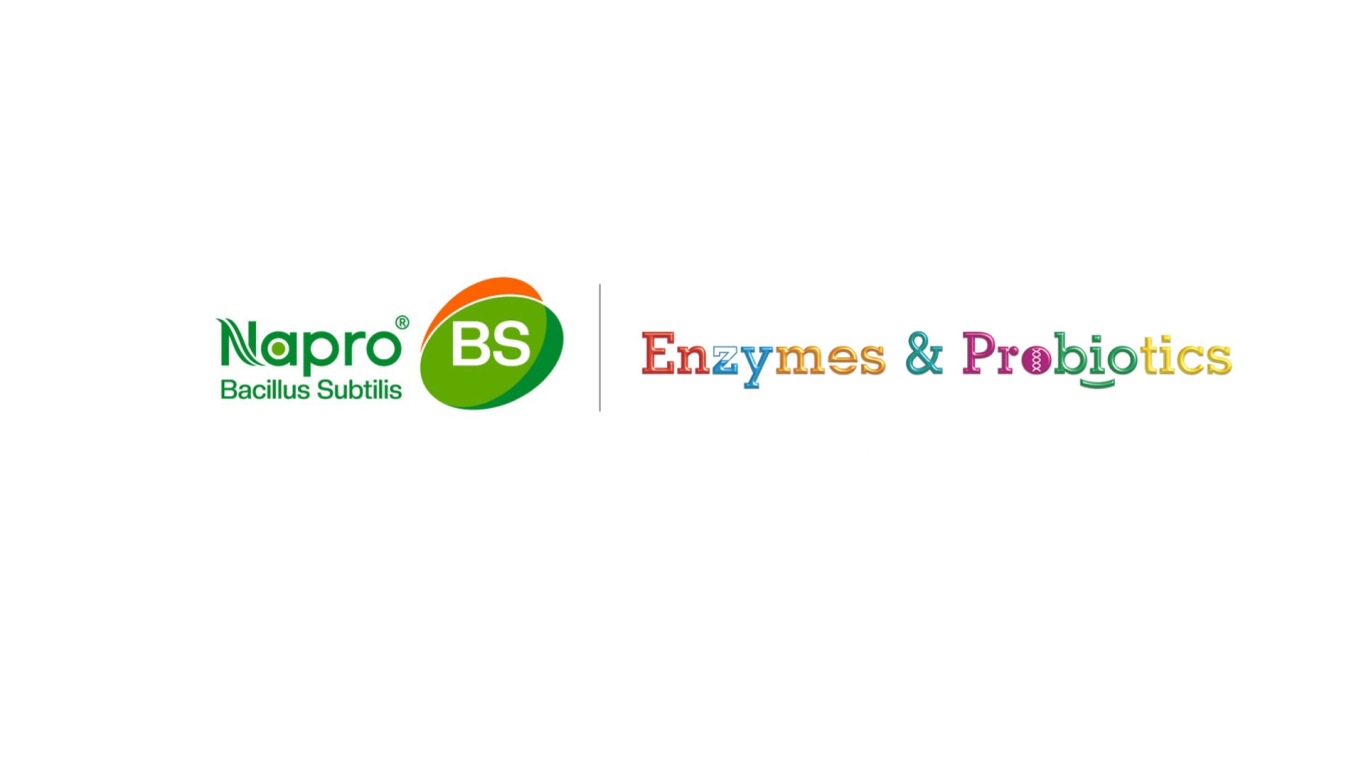 BS生物用益生菌类logo设计中标图1