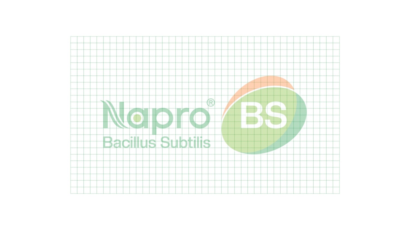 BS生物用益生菌类logo设计中标图4