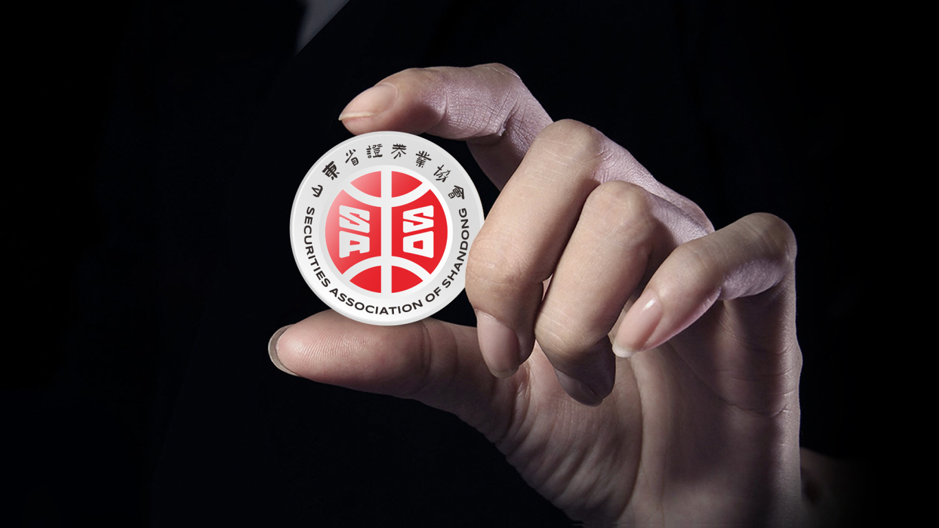證券 金融 投資行業 集團類  山東省證券業協會——logo設計圖12