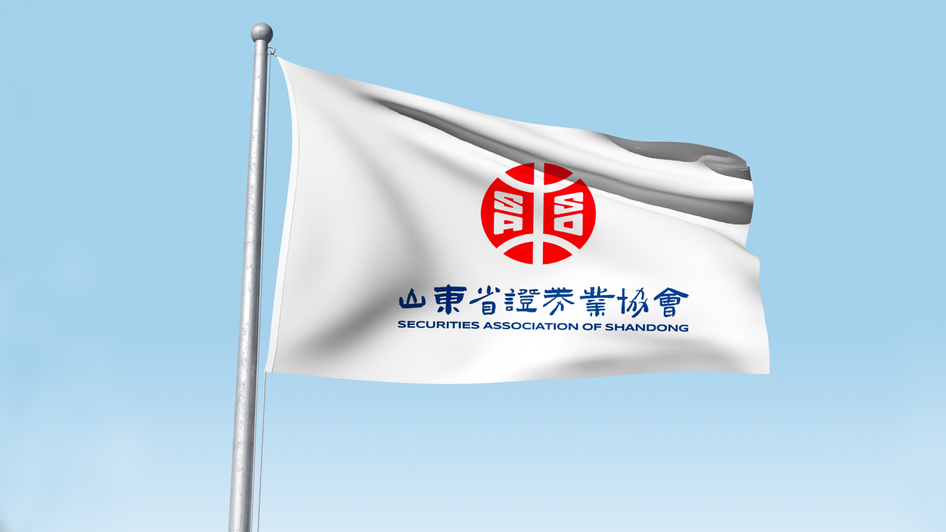 證券 金融 投資行業 集團類  山東省證券業協會——logo設計圖13