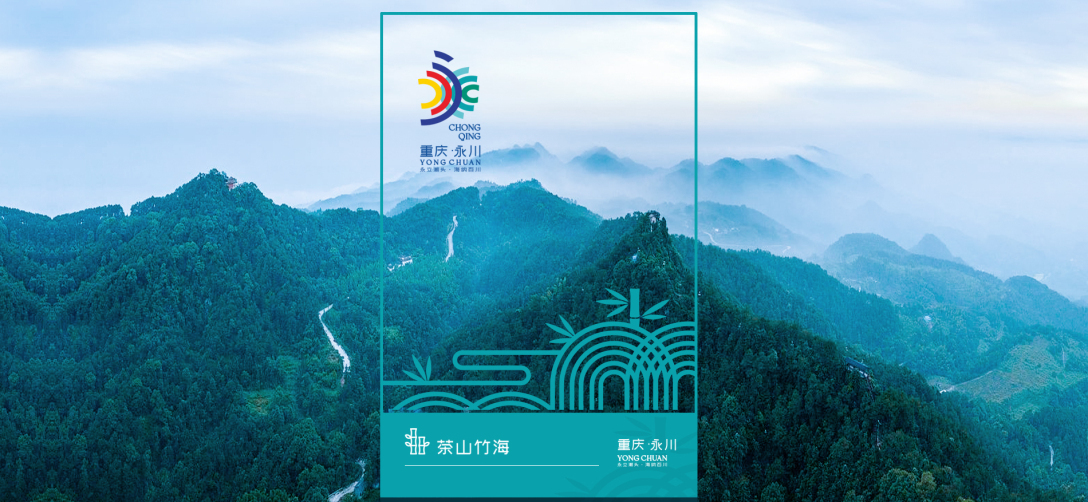 重庆永川区政务平台 科技智慧城市形象标志设计图13