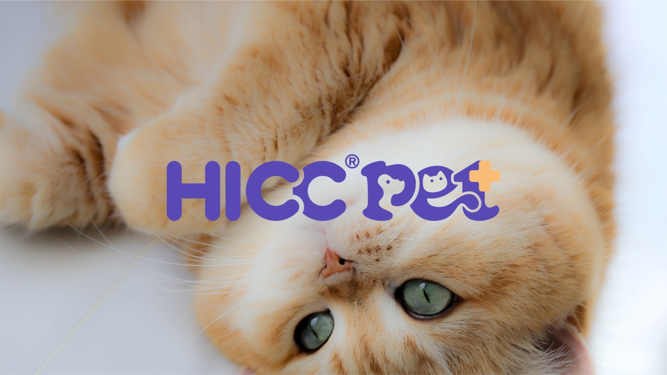 HICC美国宠物用品品牌标志设计图12