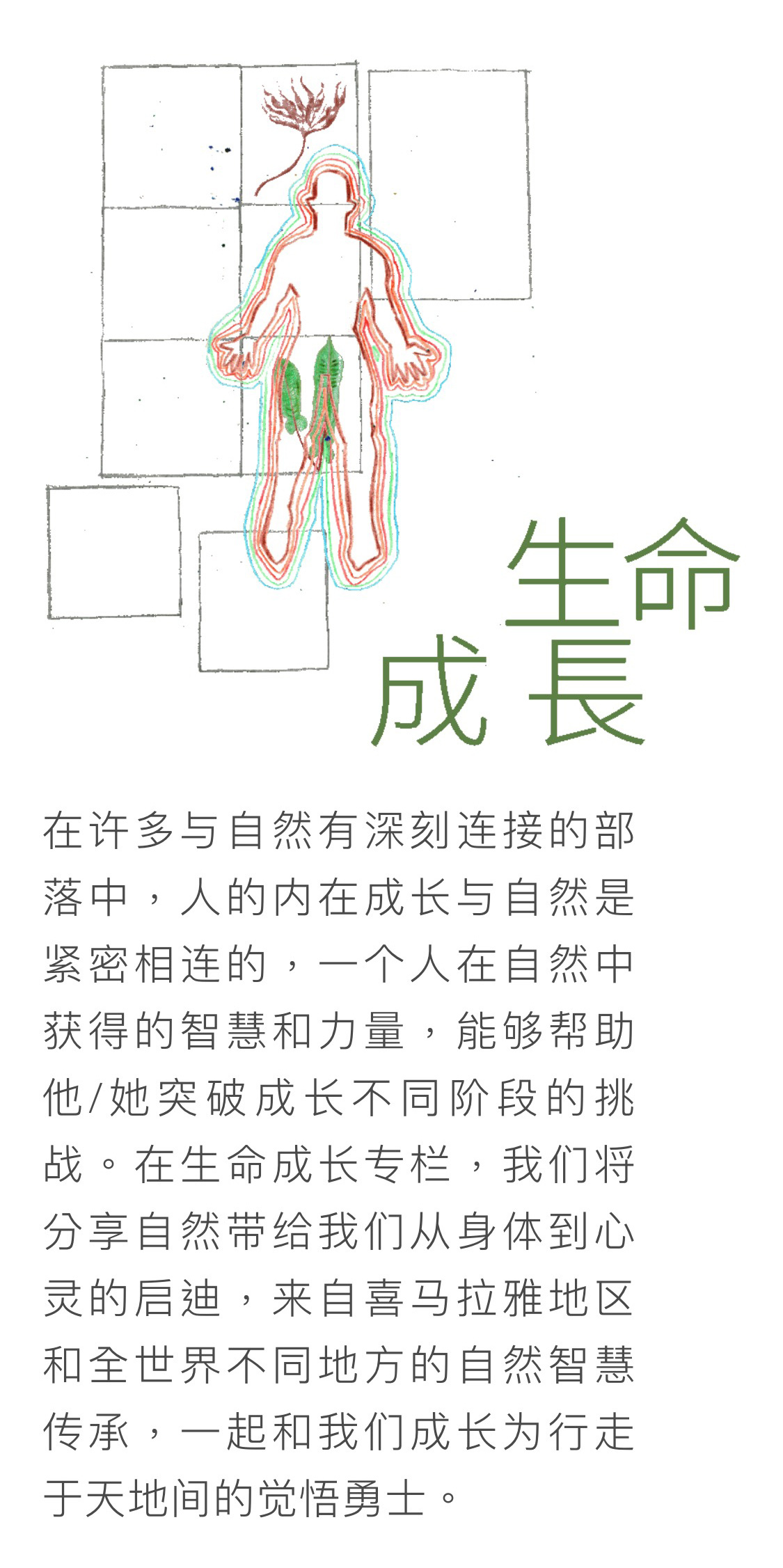 登龙云合森林学校 - 公众号形象设计/宣传视觉延展图4