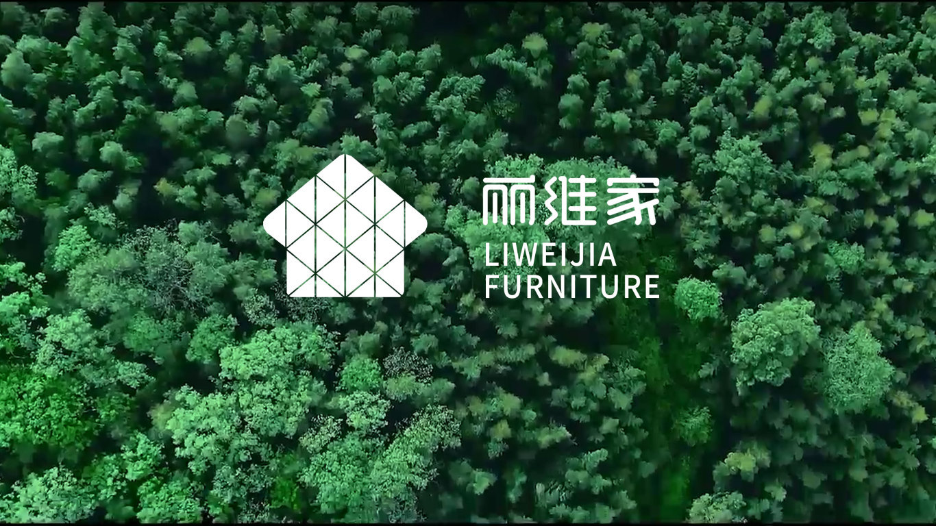 小米生态品牌 丽维家家具科技有限公司——logo设计图14