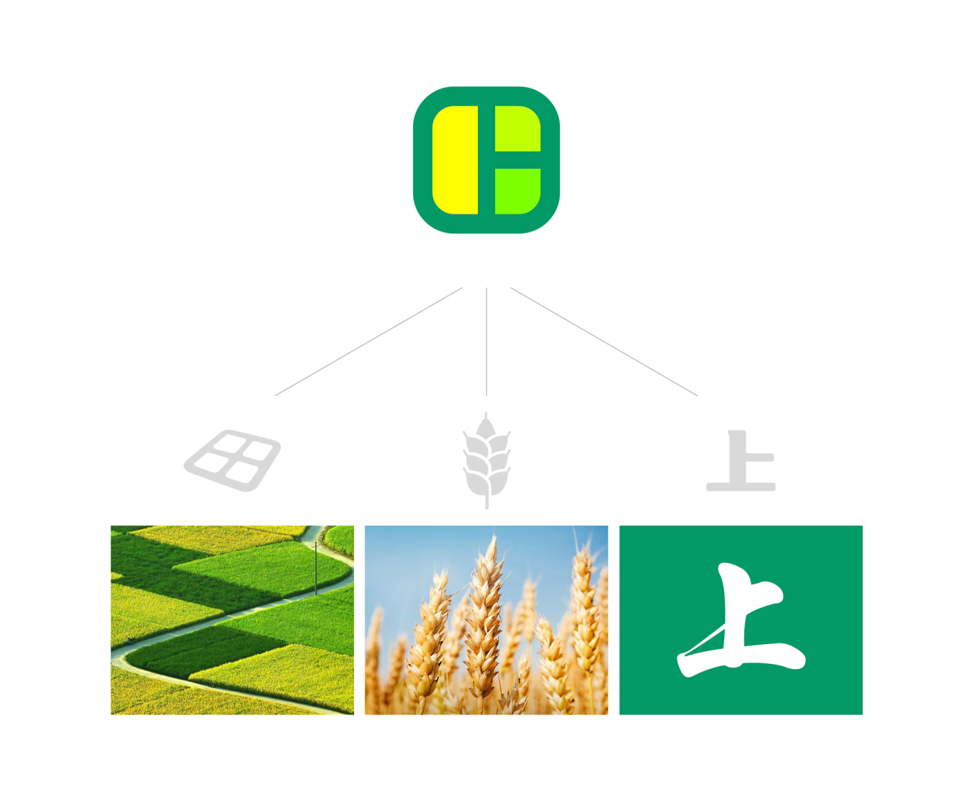 农业公司的LOGO设计图4