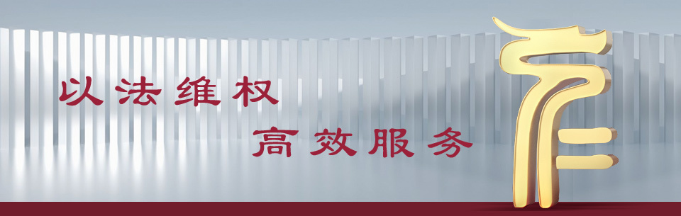 文字标 法律类 知识产权事务所——北京仁知律师事务所logo设计图3