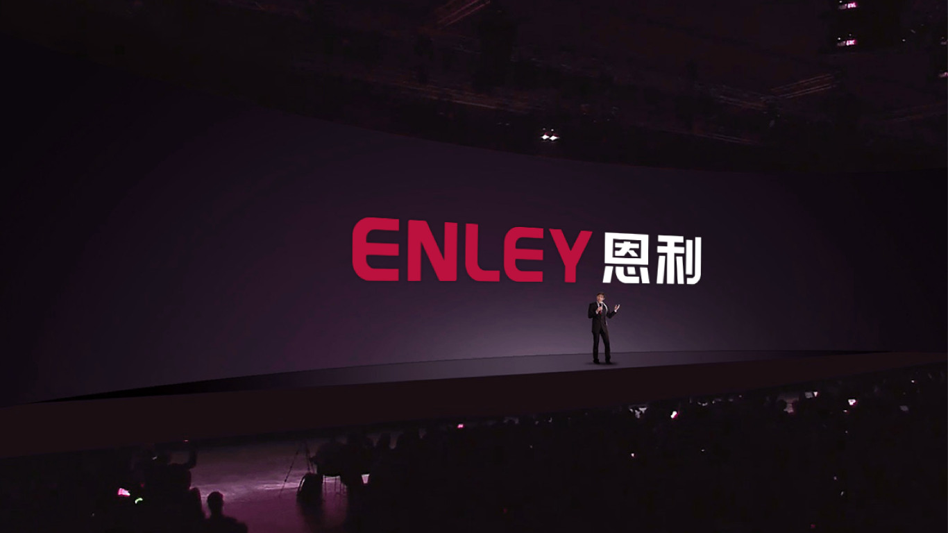 ENLEY恩利品牌logo设计图7